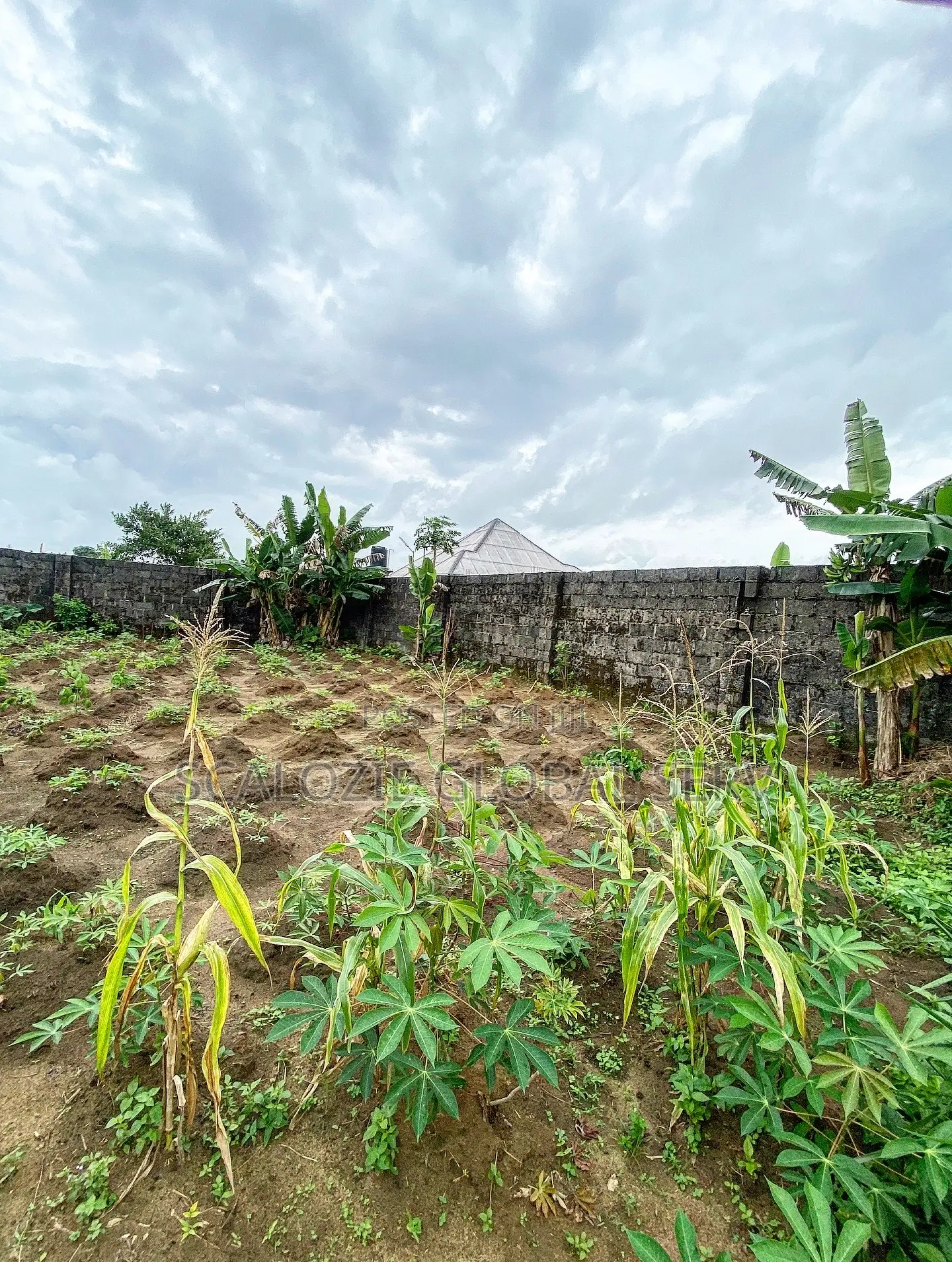 Sharp 41⁄2 Plots of Land Fully Fenced Gated Off Ring Road in New Layout