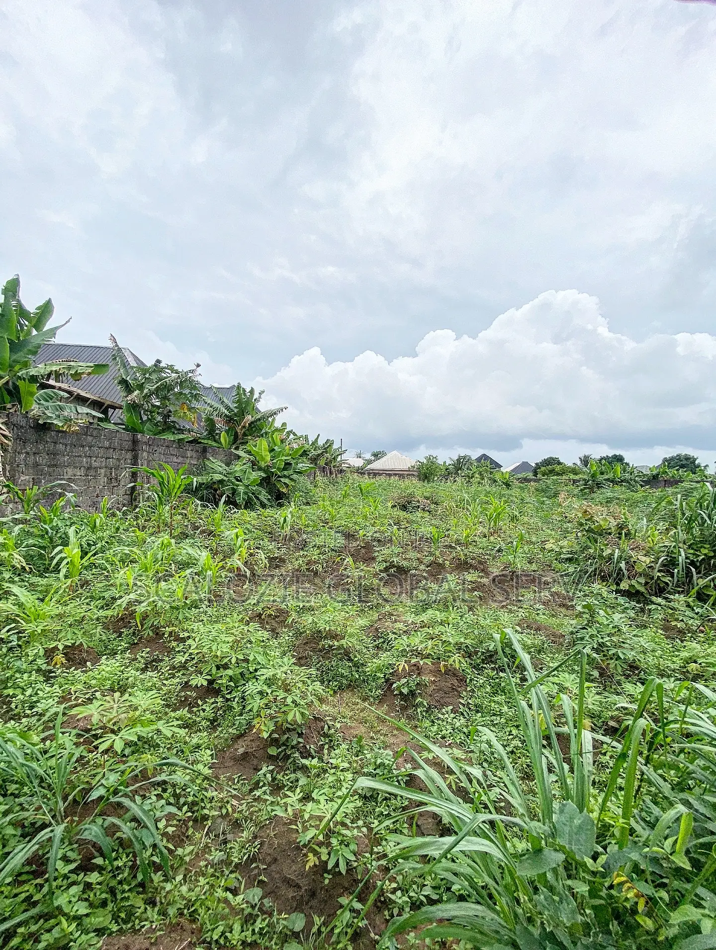 Sharp 41⁄2 Plots of Land Fully Fenced Gated Off Ring Road in New Layout