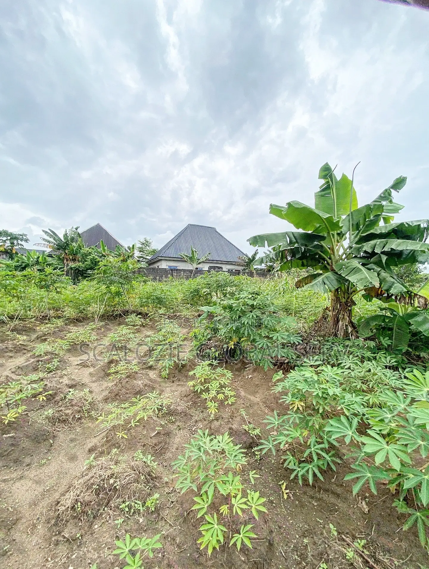 Sharp 41⁄2 Plots of Land Fully Fenced Gated Off Ring Road in New Layout