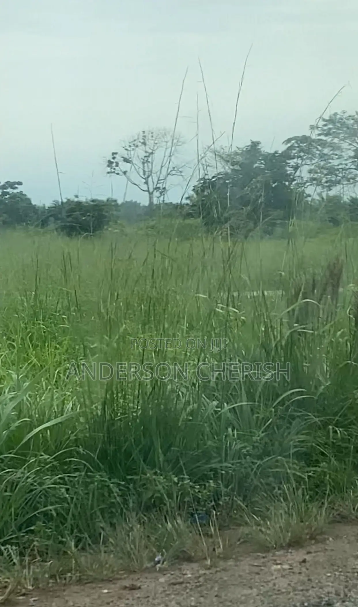 Distress Sale Land in Katampe Extension