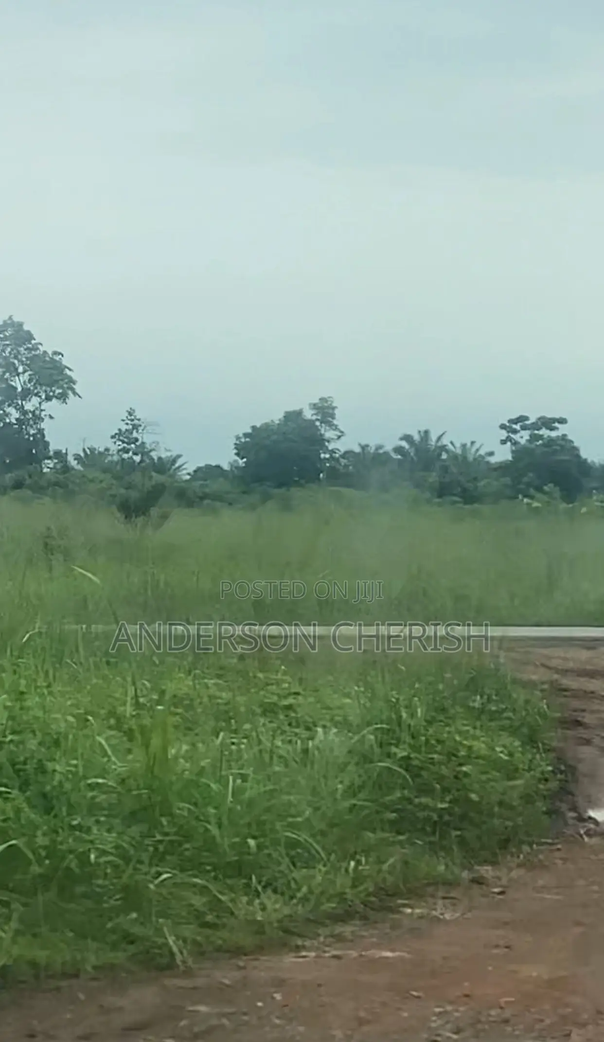 Distress Sale Land in Katampe Extension
