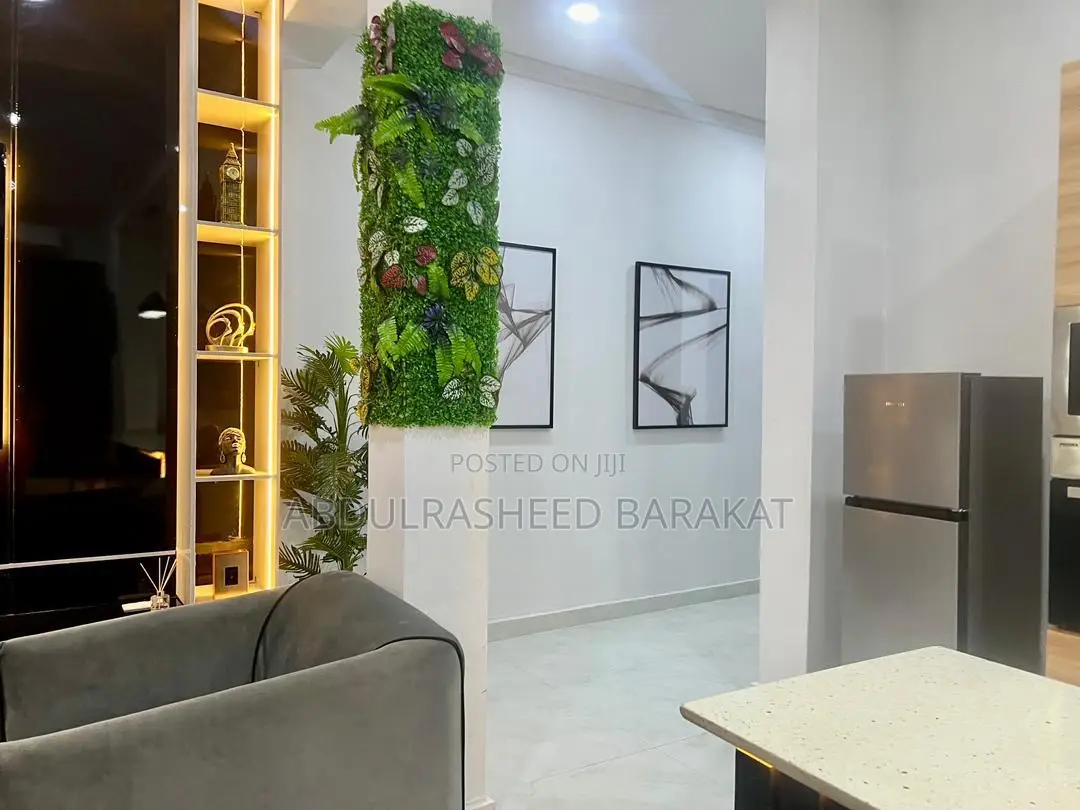 Well Furnished Luxurious Two Bedroom Apartment in Ikate