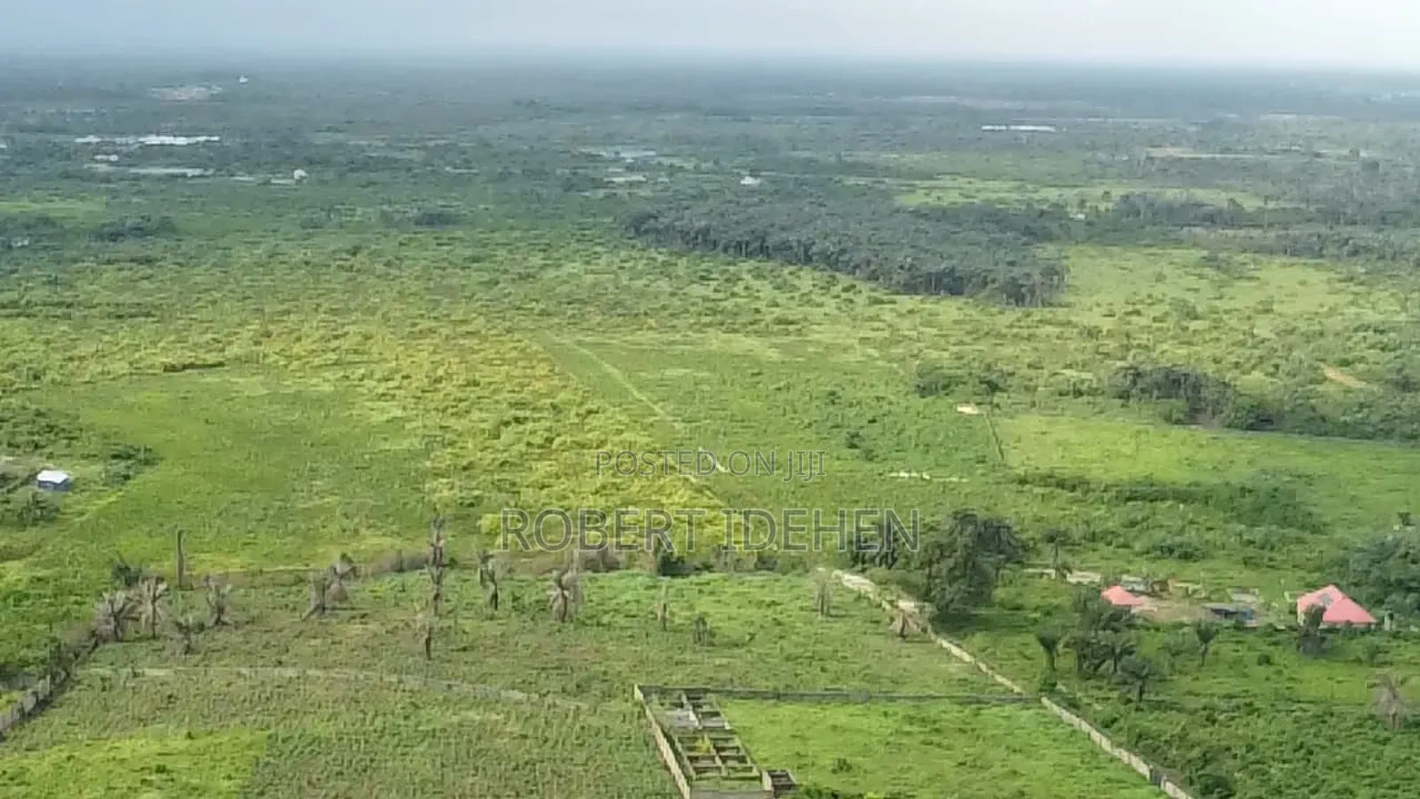 Craziest 50 Acres Distress Sales in Epe