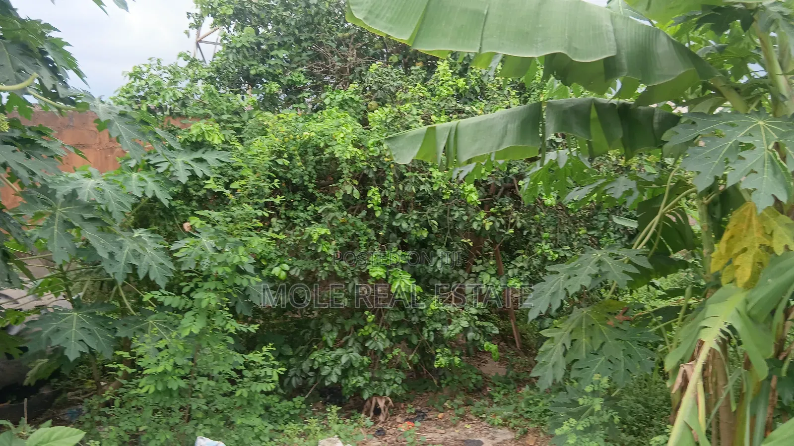 100ft/120ft Atan Kekere Ayobo 4 Active Shops Fenced Gated in Ayobo