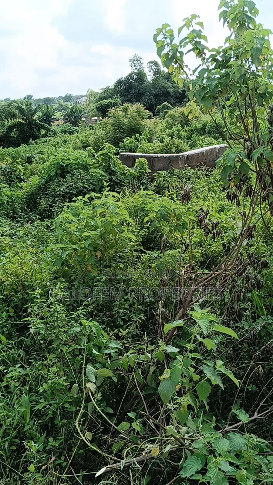Land for Sale in Abeokuta North