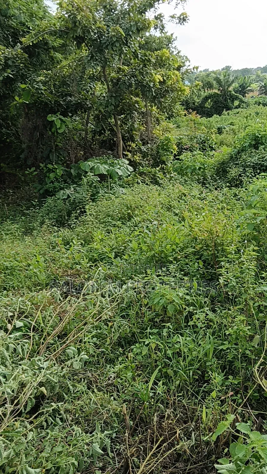 Land for Sale in Abeokuta North