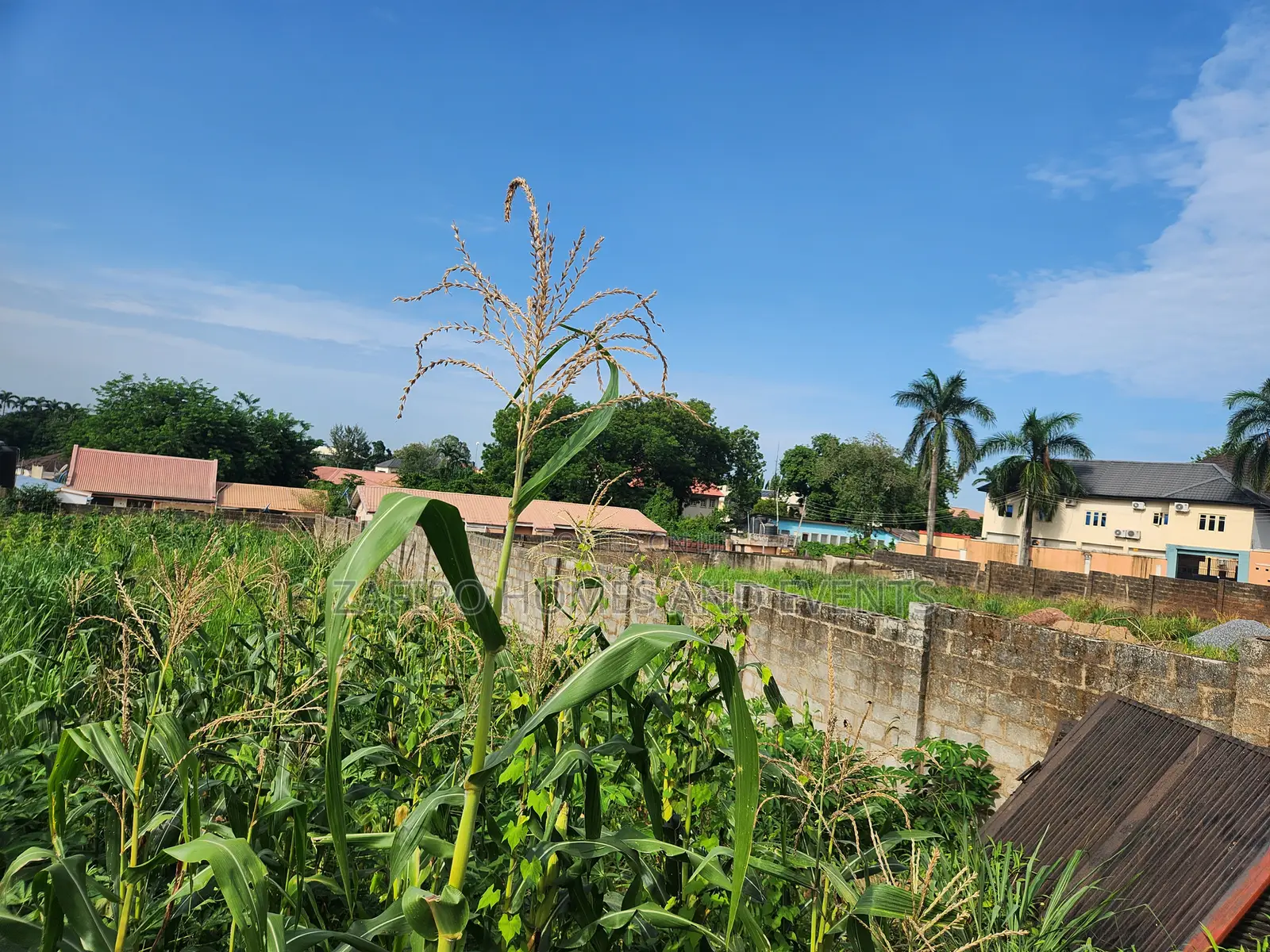 1000m2 Fenced Land Near Oba Adeshida Gate, Iyaganku Gra in Iyanganku