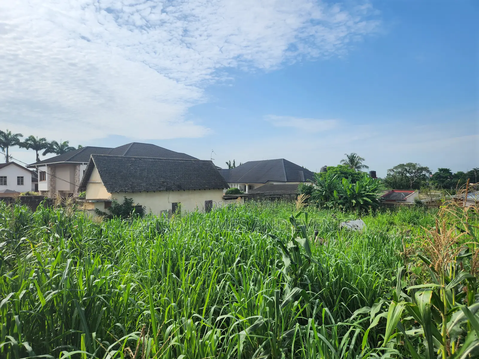 1000m2 Fenced Land Near Oba Adeshida Gate, Iyaganku Gra in Iyanganku