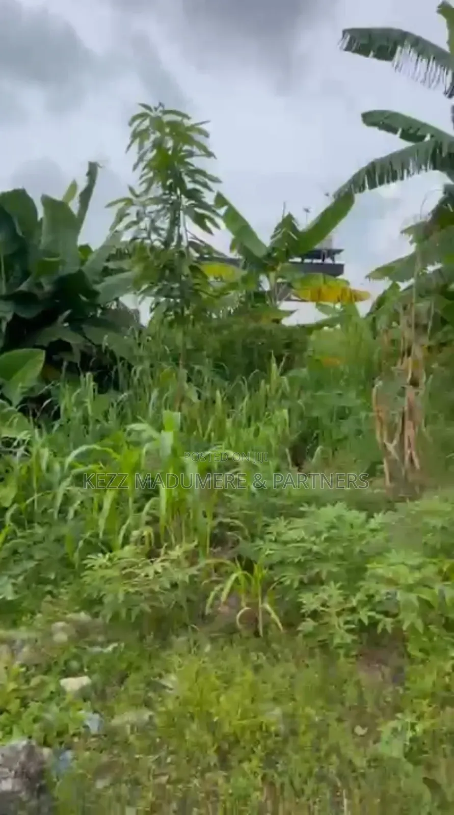 For Sale : 4 Plots at Uyo Street, Off Stadium Road, Ph in Port-Harcourt