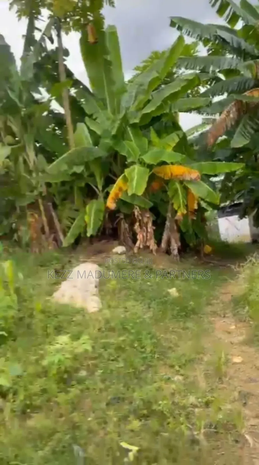 For Sale : 4 Plots at Uyo Street, Off Stadium Road, Ph in Port-Harcourt
