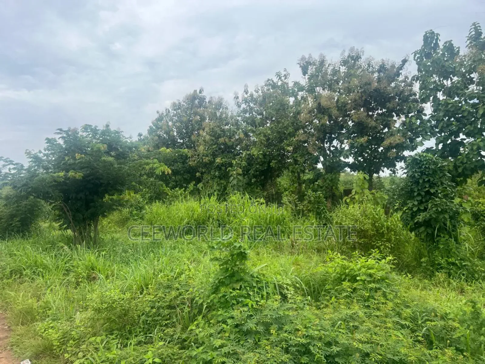 Over 33,602 SQM Available for Sale at Ajia Along Ife Expres in Ibadan
