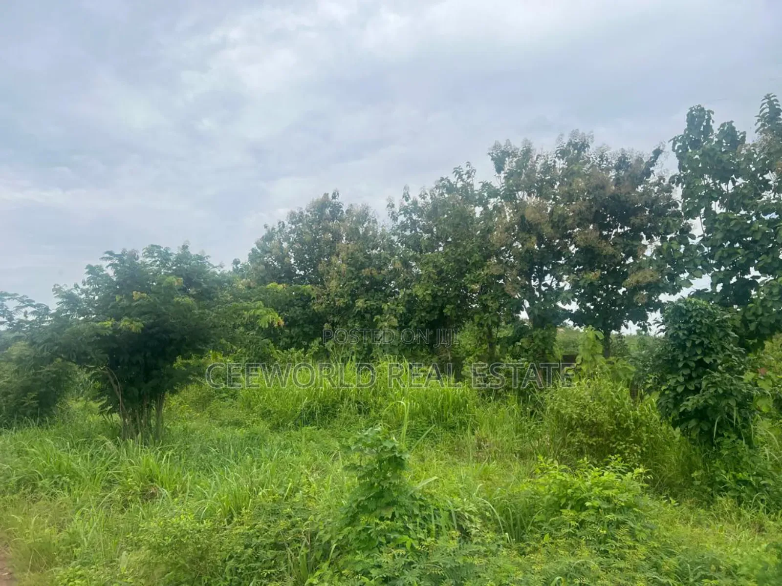 Over 33,602 SQM Available for Sale at Ajia Along Ife Expres in Ibadan