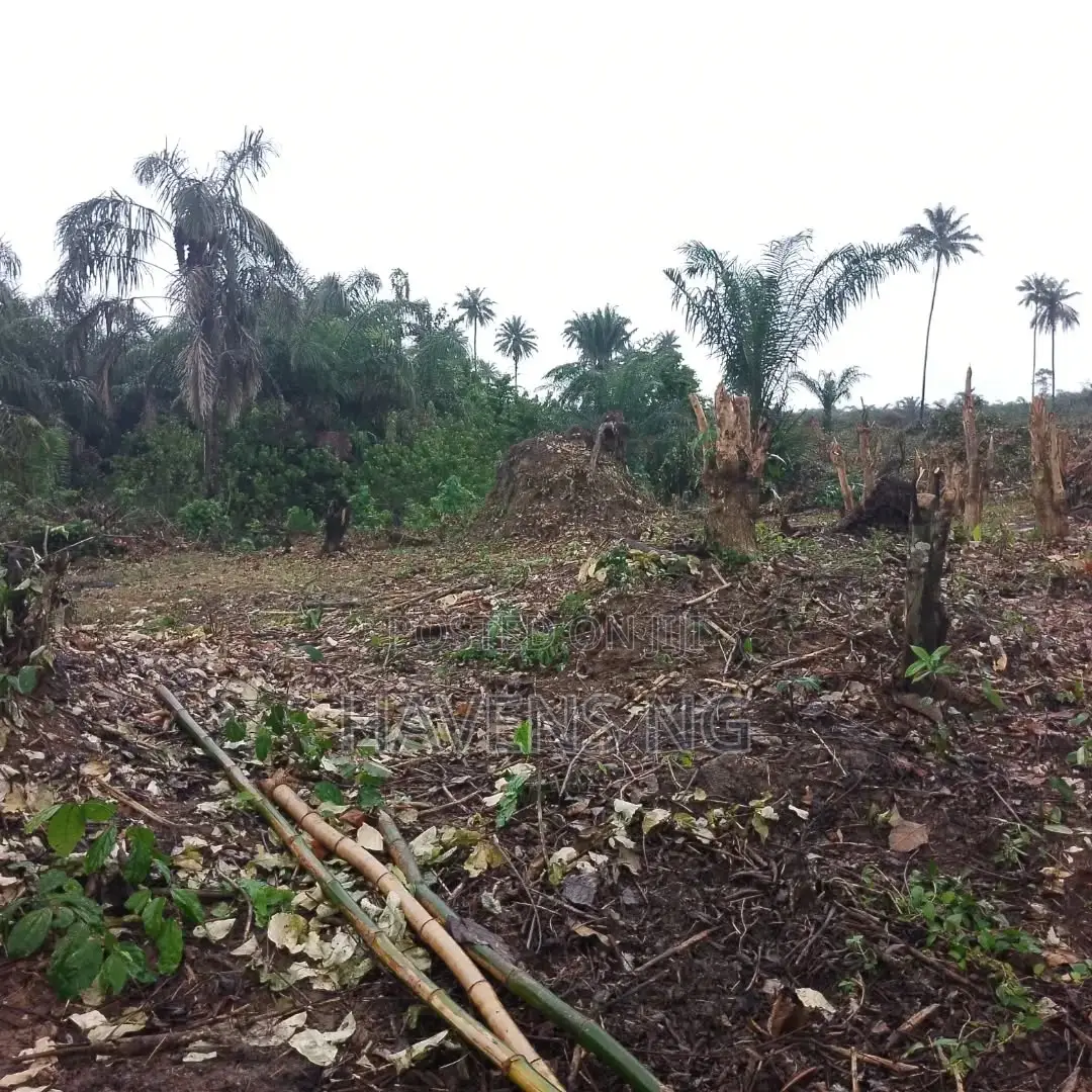 Commercial Plot of Land for Sale – Ada George, Port Harcourt in Obio-Akpor
