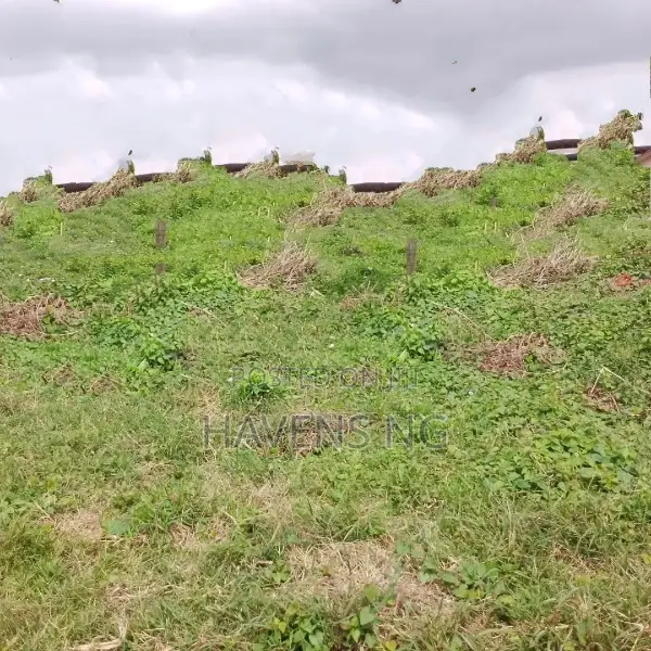 Prime 1 Plot of Land for Sale – Oroazi, Port Harcourt in Rumudaolu
