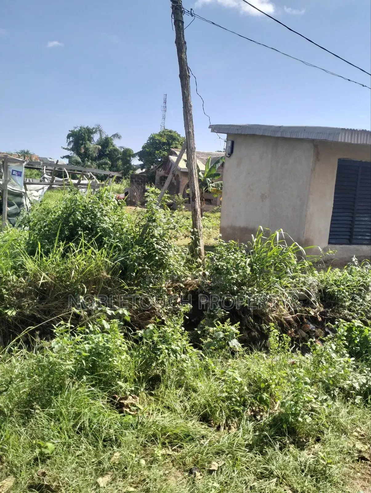 Full Plot of Land 100ft by 50ft at Ayobo, by Idowu Egba Lasu Igando Rd in Iseri Olofin