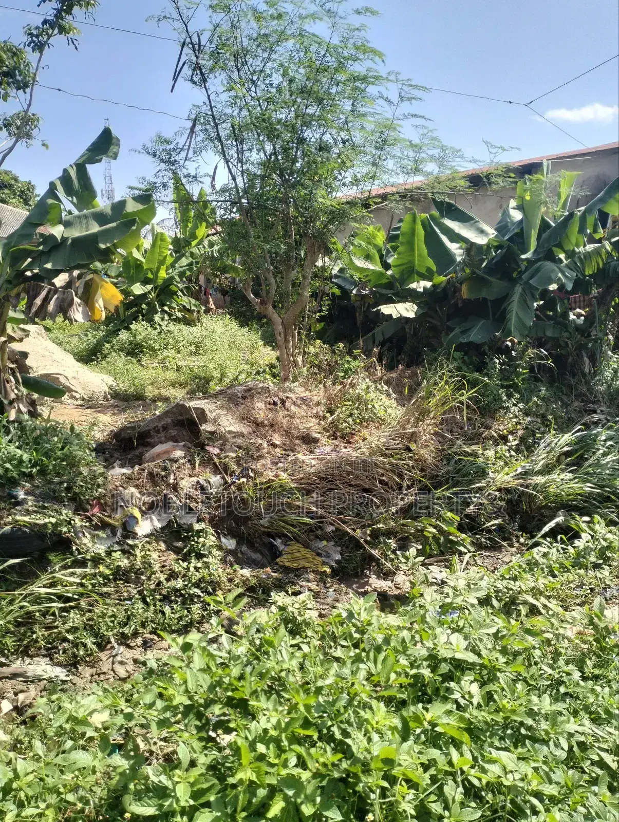 Full Plot of Land 100ft by 50ft at Ayobo, by Idowu Egba Lasu Igando Rd in Iseri Olofin