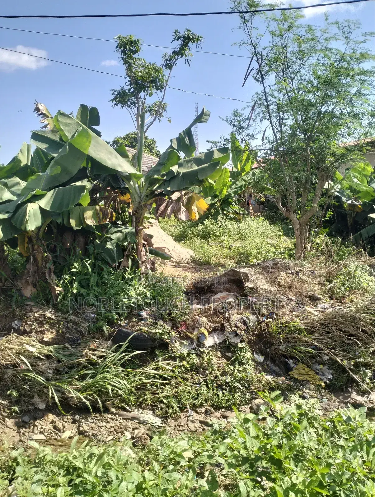 Full Plot of Land 100ft by 50ft at Ayobo, by Idowu Egba Lasu Igando Rd in Iseri Olofin
