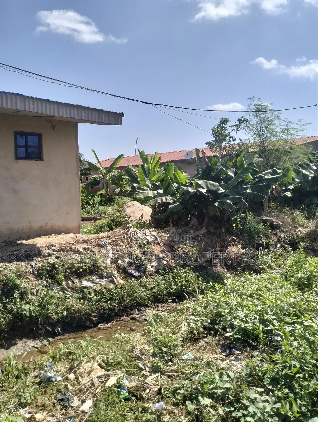 Full Plot of Land 100ft by 50ft at Ayobo, by Idowu Egba Lasu Igando Rd in Iseri Olofin