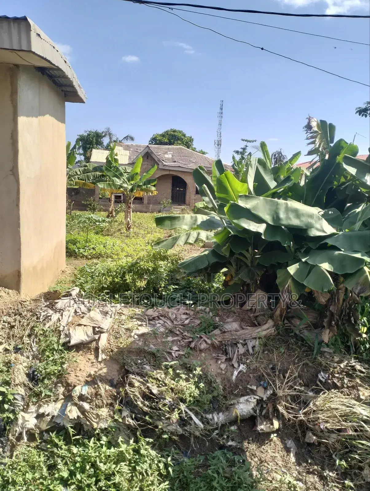 Full Plot of Land 100ft by 50ft at Ayobo, by Idowu Egba Lasu Igando Rd in Iseri Olofin