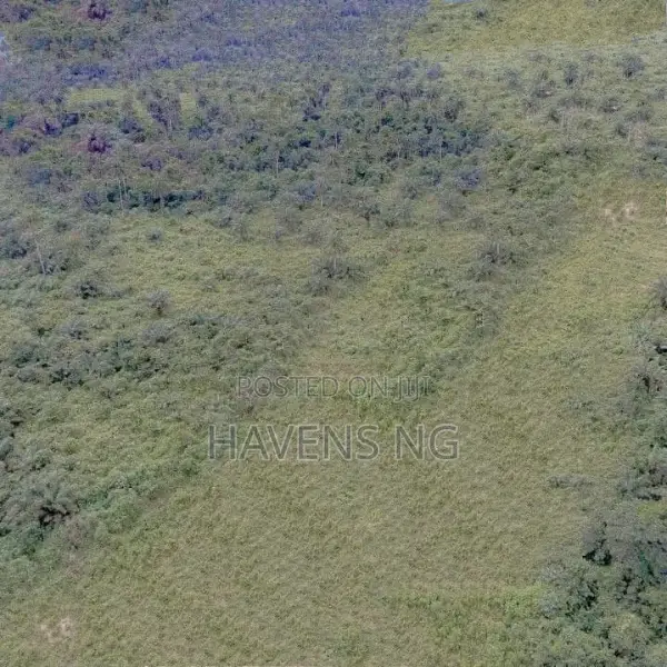 1 Plot of Land for Sale – Eliozu, Port Harcourt in Eliozu