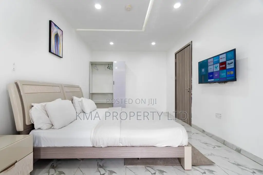 Luxurious 1 Bedroom Apartment in Victoria Island Extension