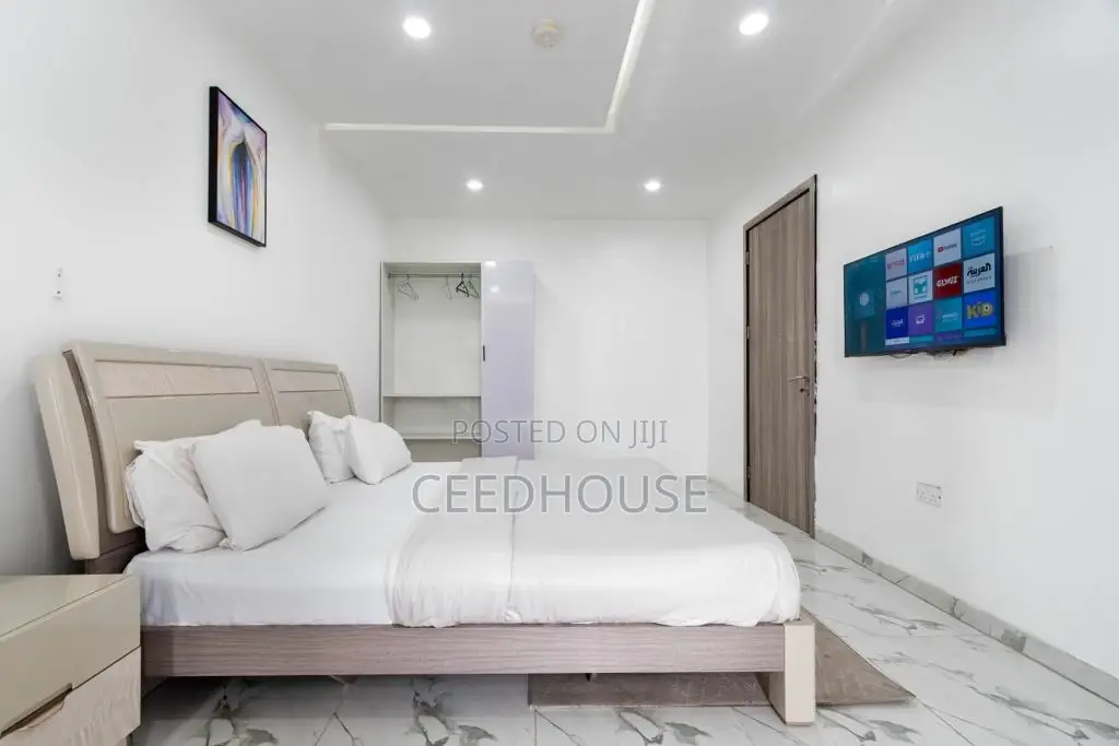 Luxurious 1 Bedroom Apartment in Victoria Island Extension