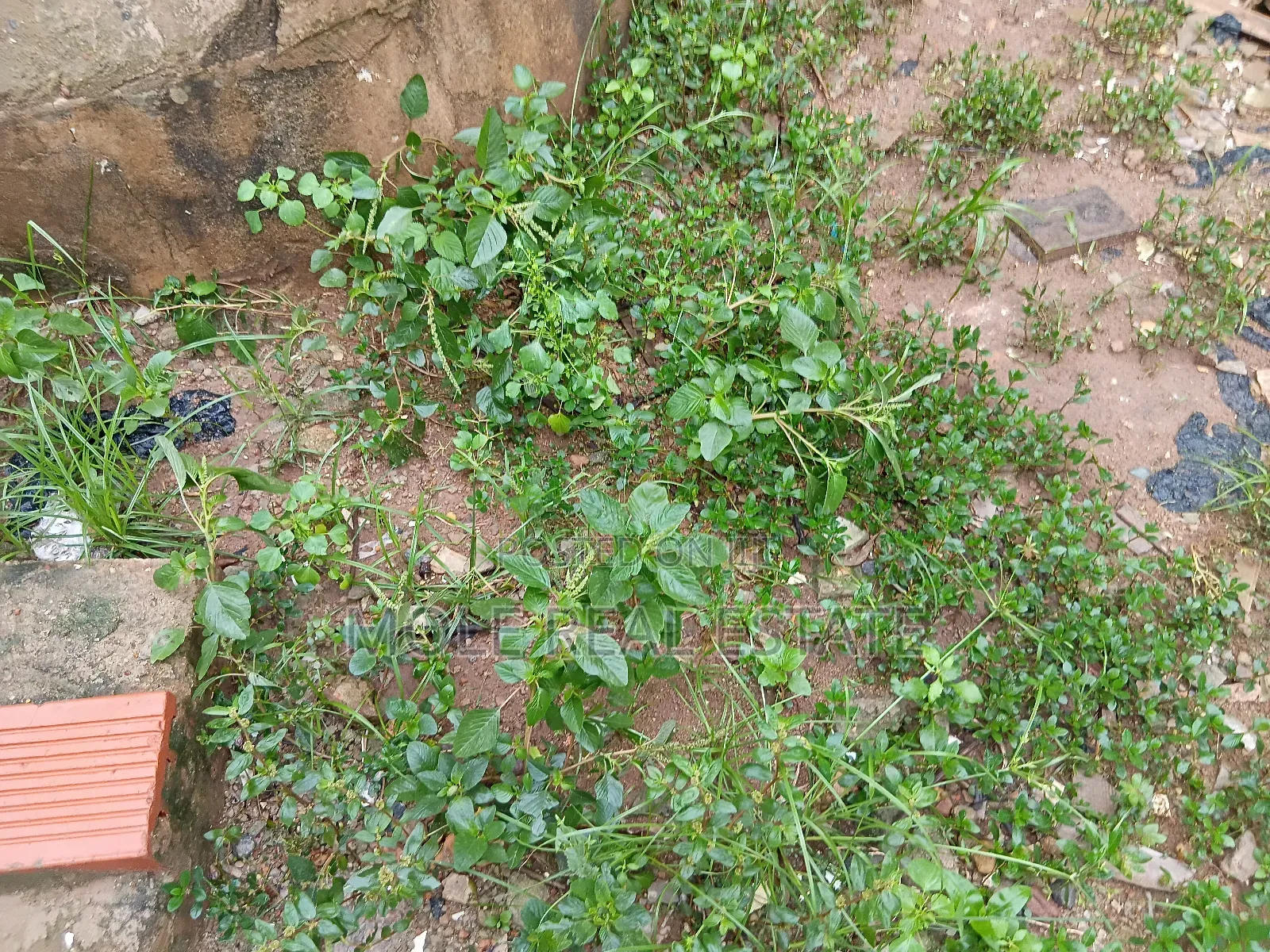 2 Plots Cornerpiece Facing Egbeda Bustop in Egbeda / Egbeda