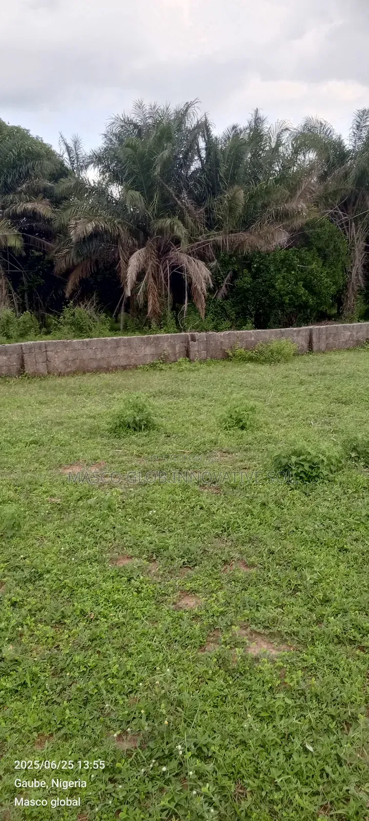 6, Hectares of Farm Land for Sale in Abuja in Kuje