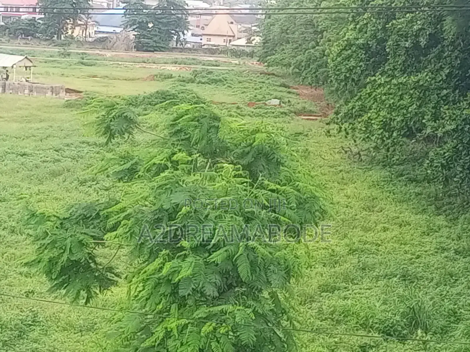 Exceptional Plot of Land in Ojodu