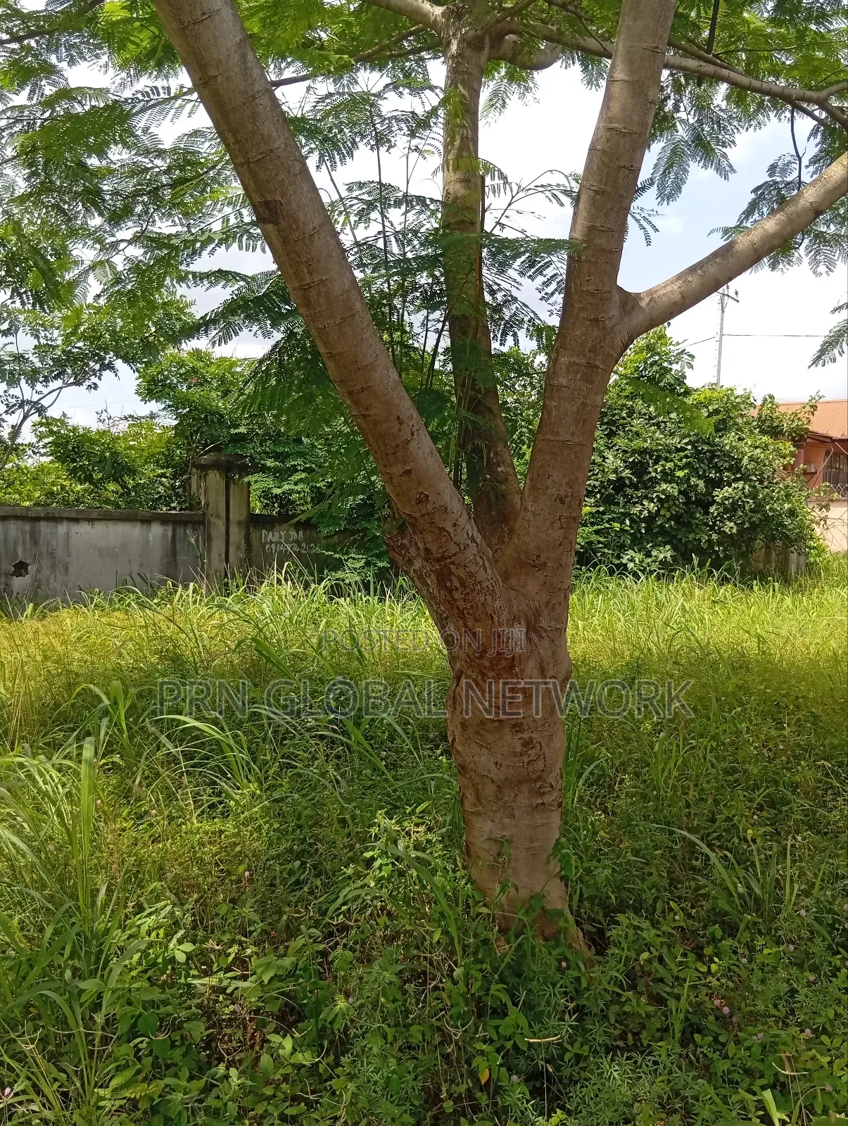 Sharp 4 Plots of Lands for Sale in Owerri