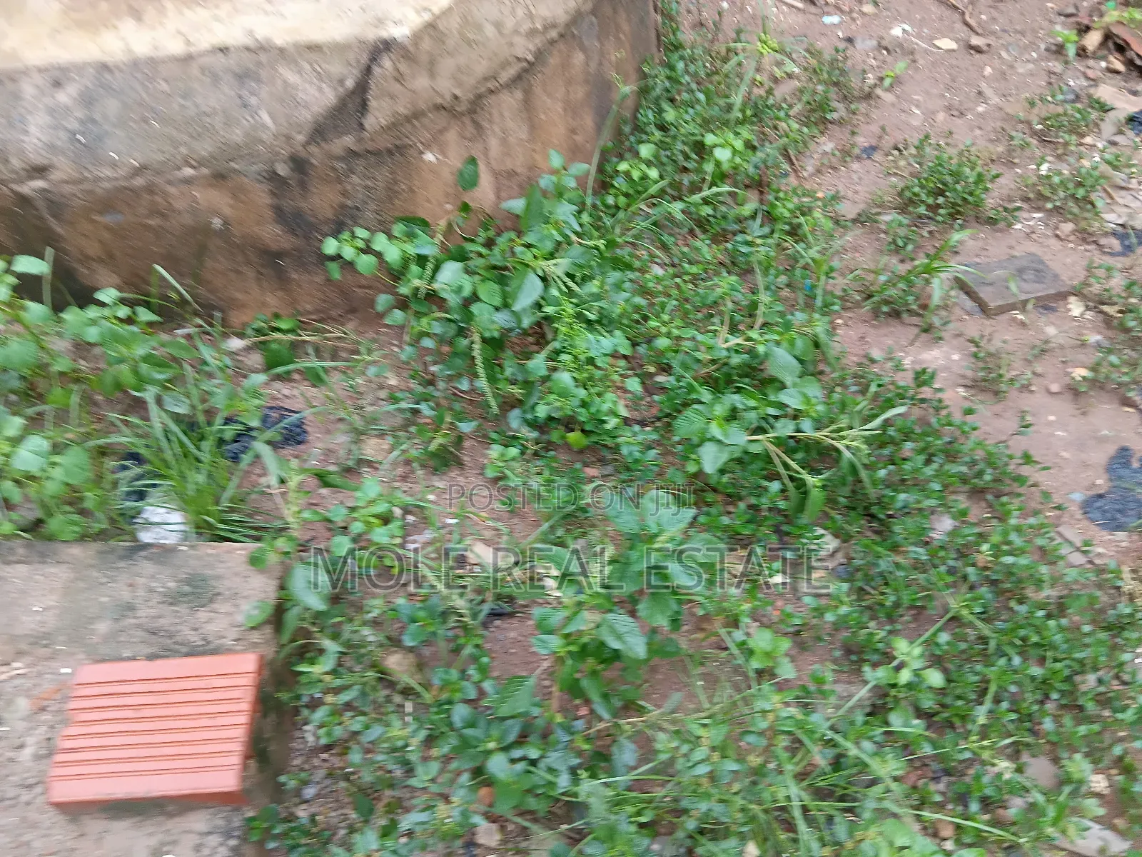 3200sqm (Jv) 2nd Avenue Ikoyi Closable Joint Venture in Adeniyi Jones