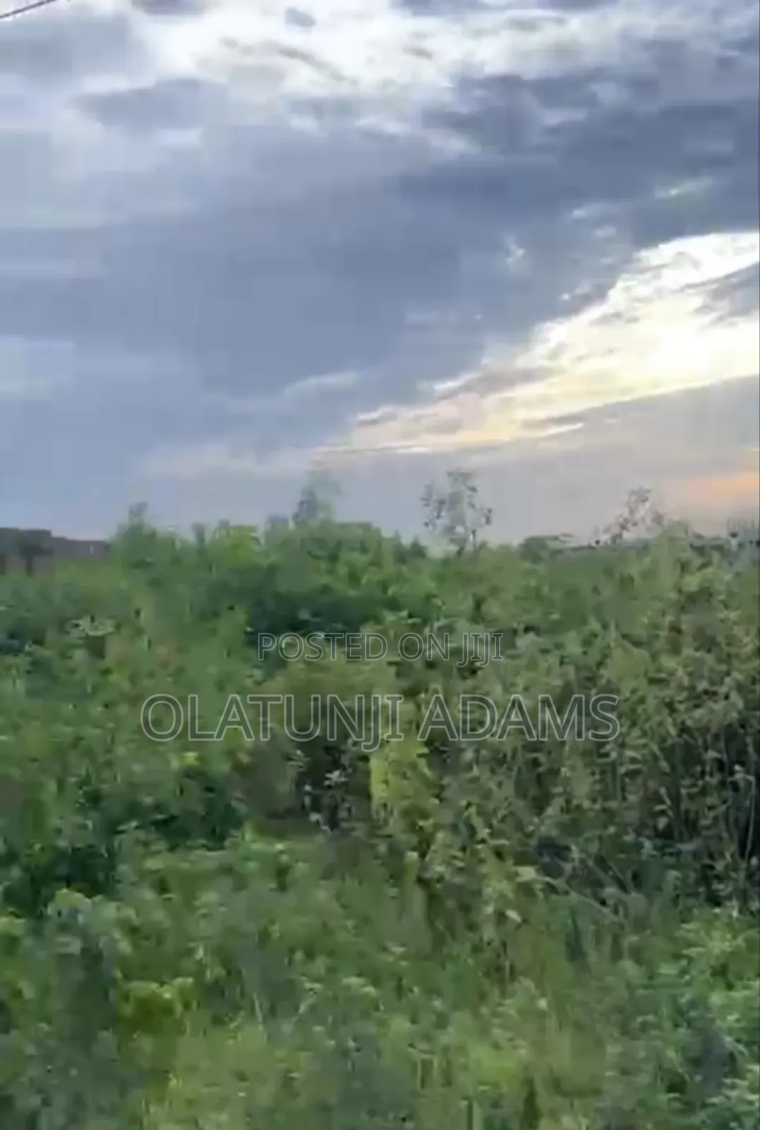 3000acres of Farmland at Ikire Town in Osogbo