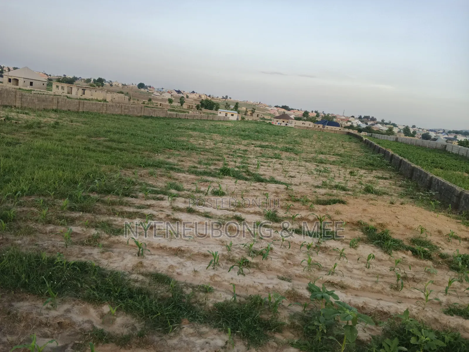 50x100 Virgin Land for Sale in Karu