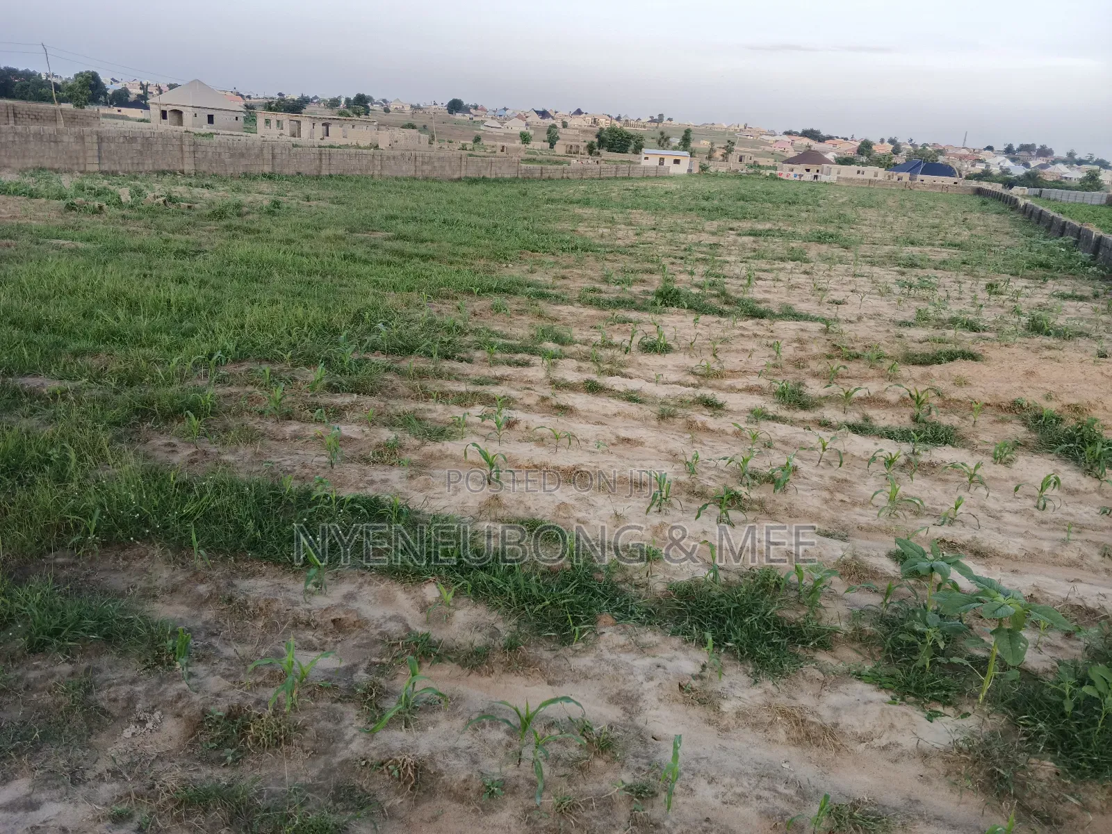 50x100 Virgin Land for Sale in Karu