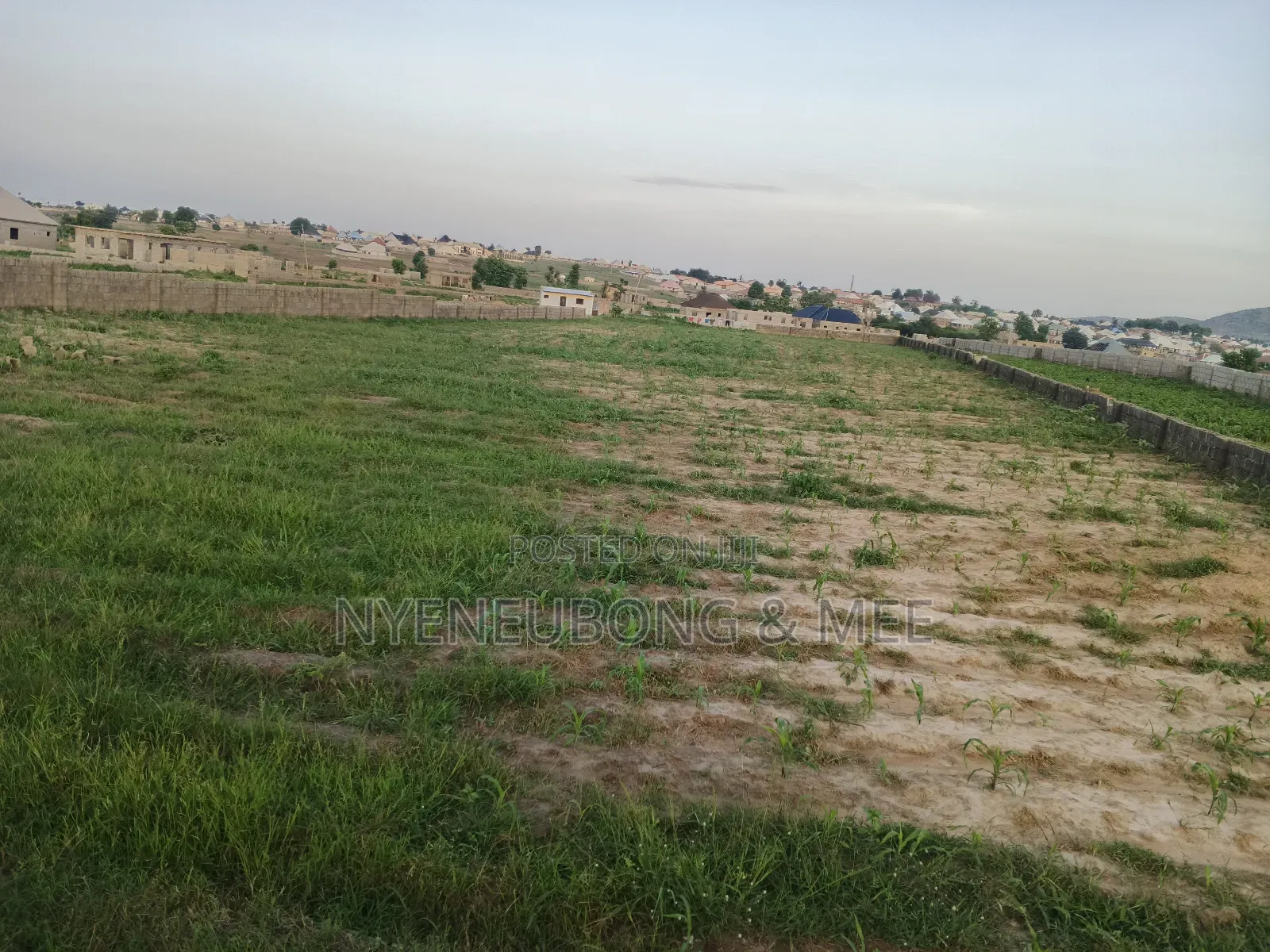 50x100 Virgin Land for Sale in Karu