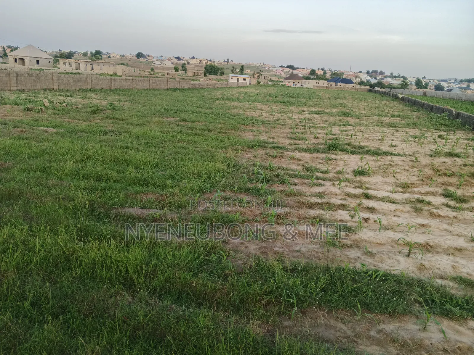 50x100 Virgin Land for Sale in Karu
