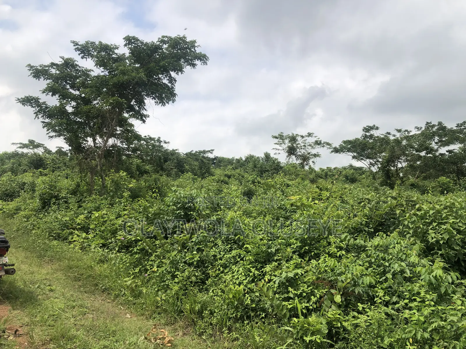Good Land for Farming in Ogun State.Nigeria in Odeda