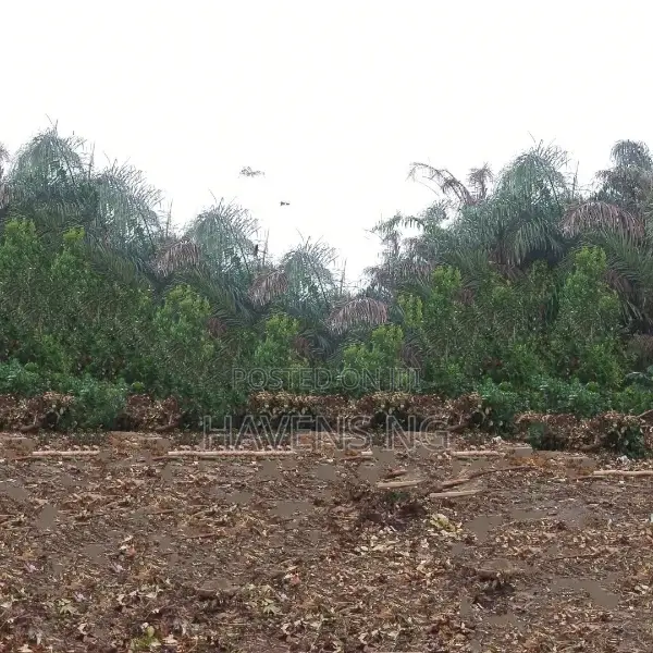 2 Plots of Land in Prime Location in Ikwerre