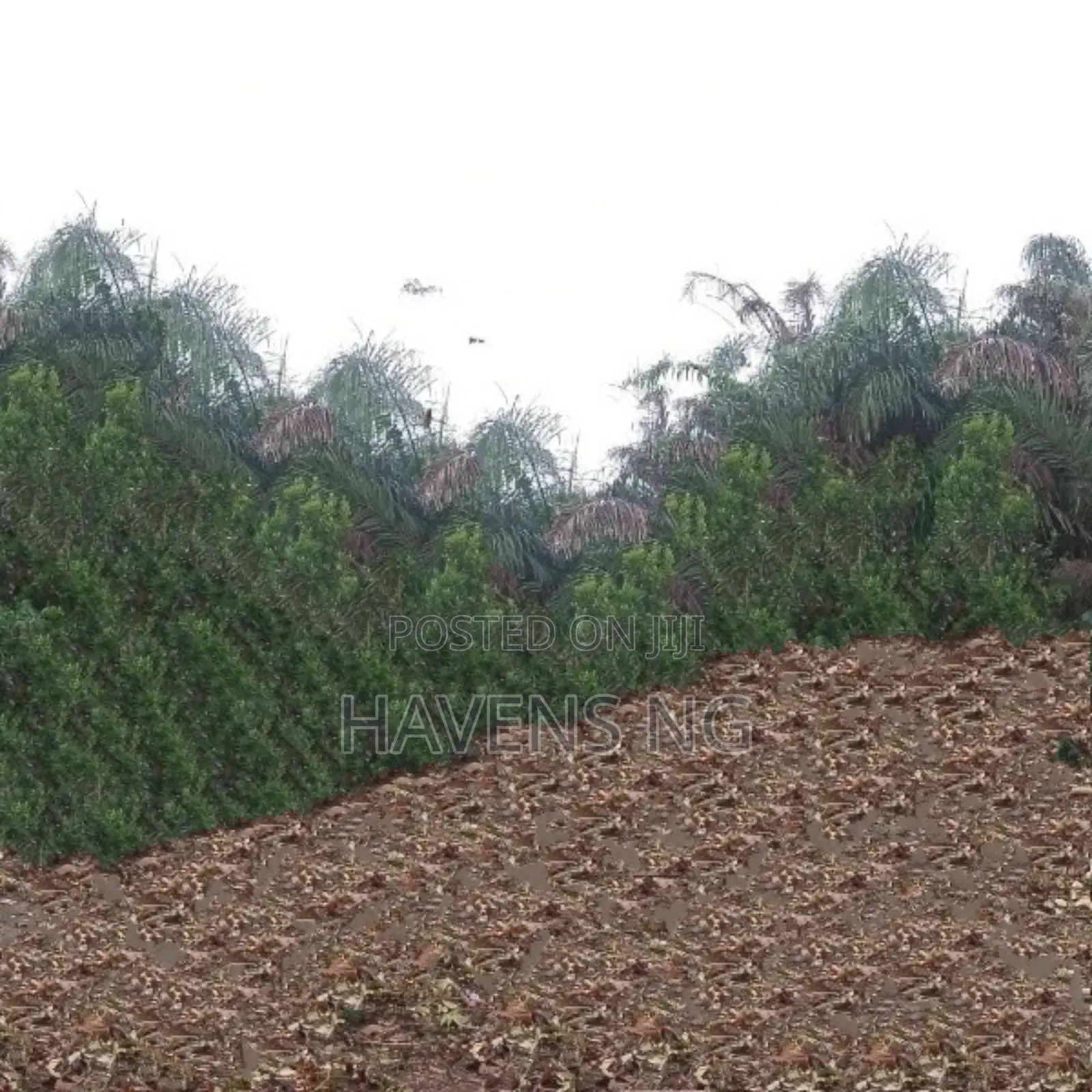 2 Plots of Land in Prime Location in Ikwerre