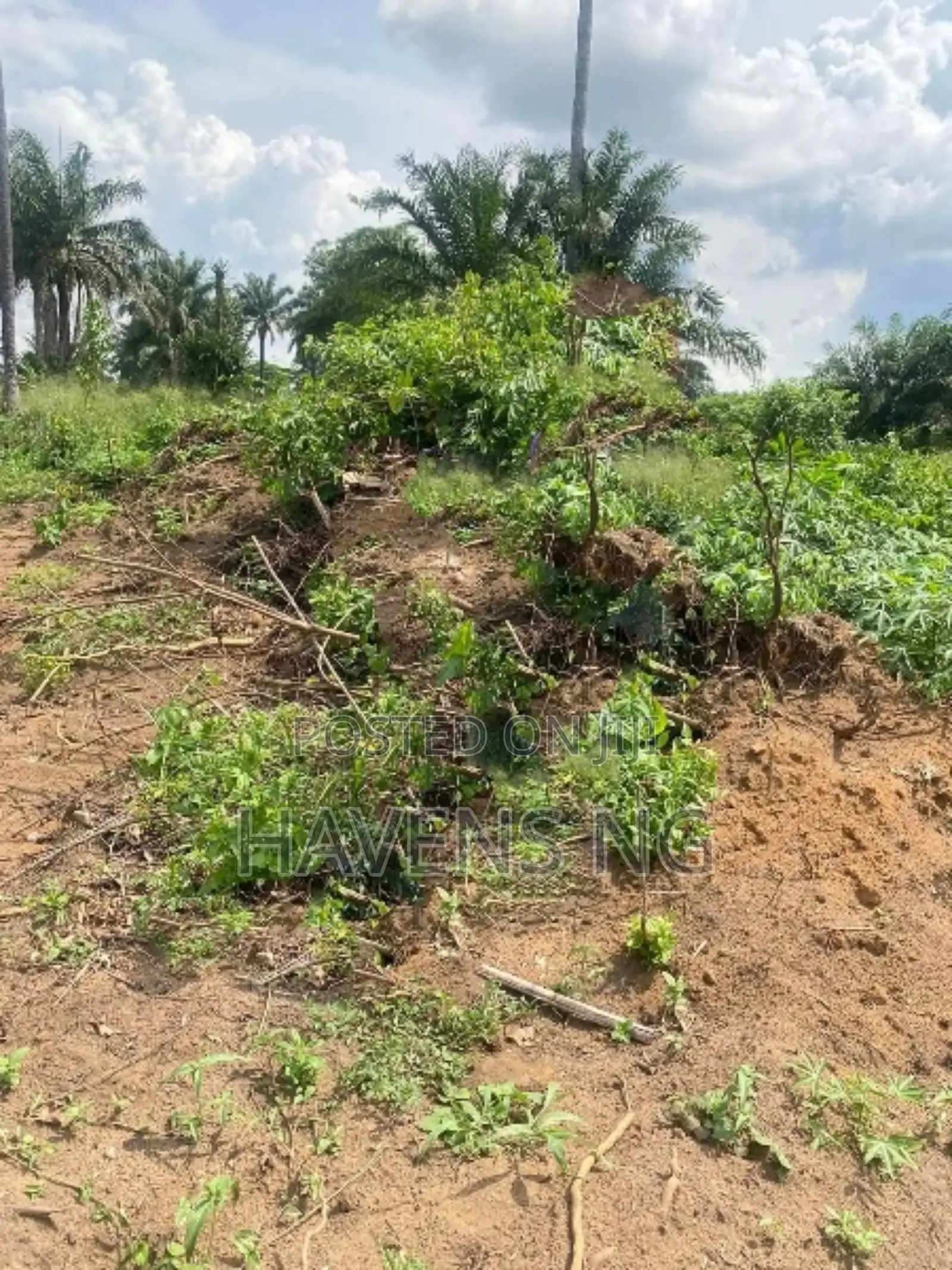 For Sale – Prime Residential Plots in Rukpokwu