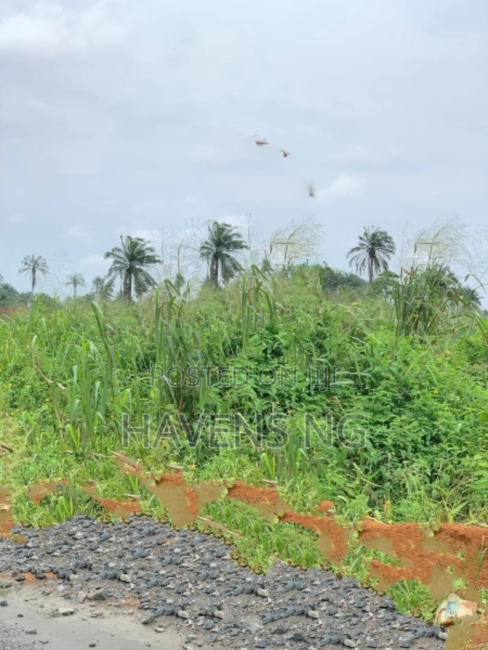 For Sale – Prime Residential Plots in Rukpokwu