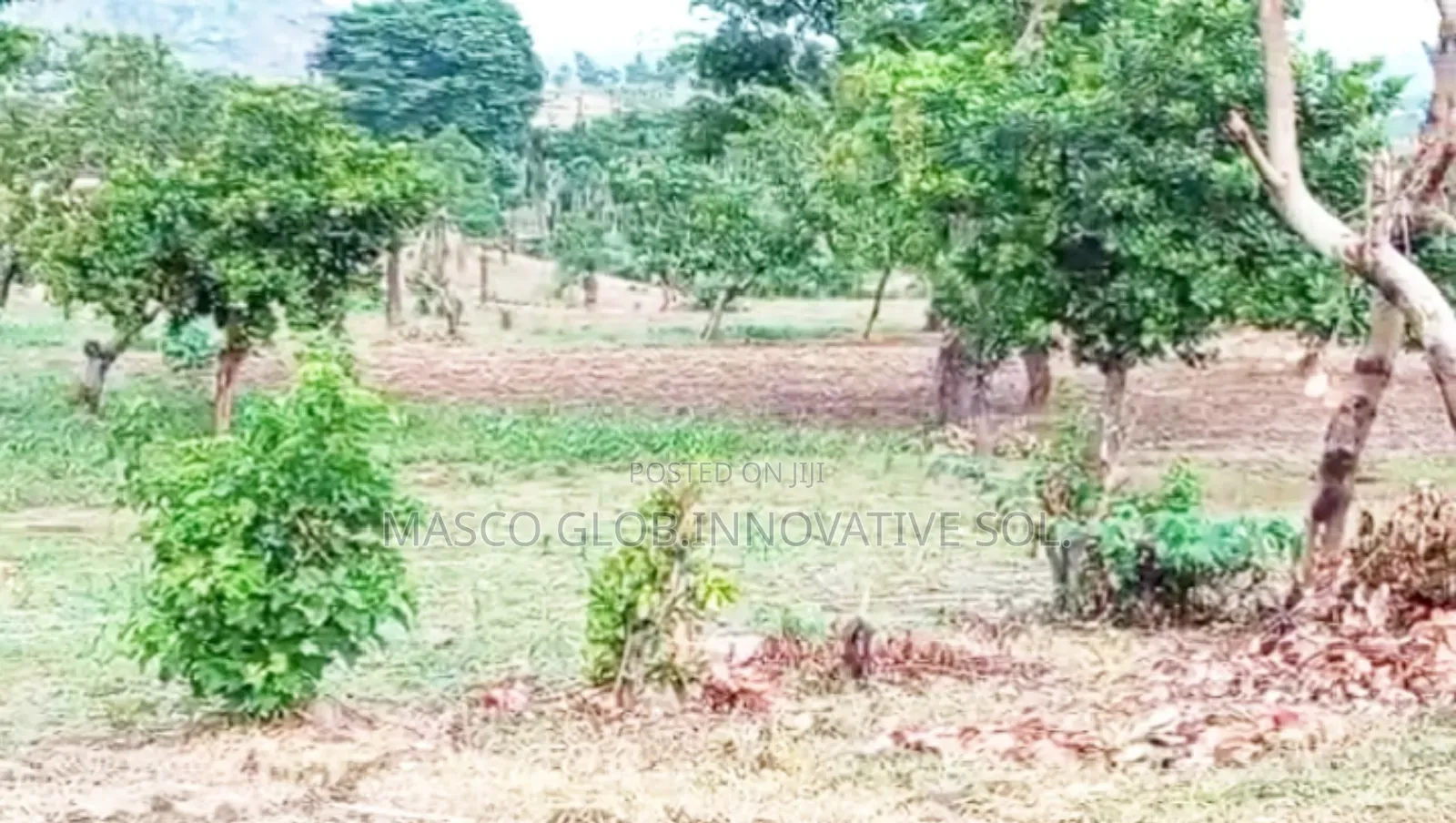 50 Hectares of Estate Land for Sale in Abuja in Kabusa