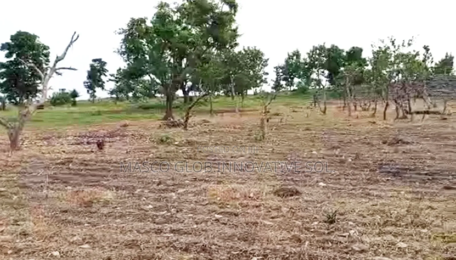 50 Hectares of Estate Land for Sale in Abuja in Kabusa