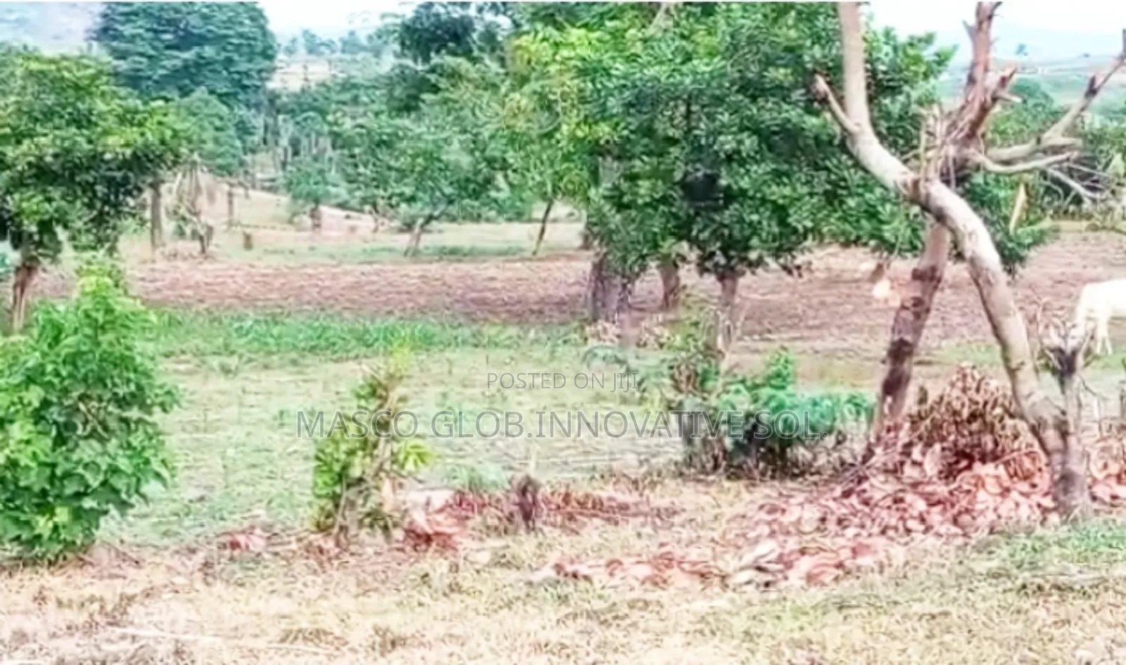 50 Hectares of Estate Land for Sale in Abuja in Kabusa