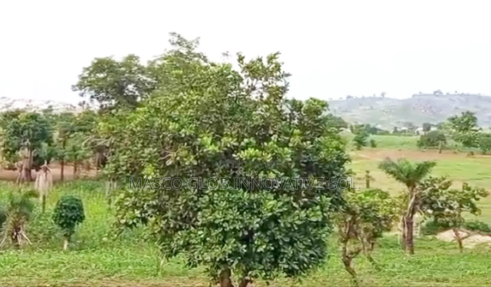50 Hectares of Estate Land for Sale in Abuja in Kabusa