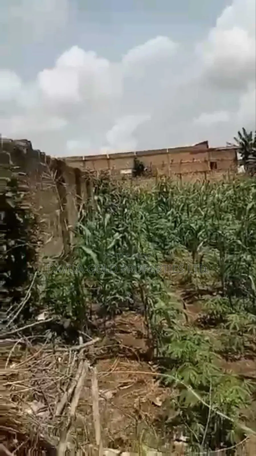 A Strategic Land for Sale in Benin City