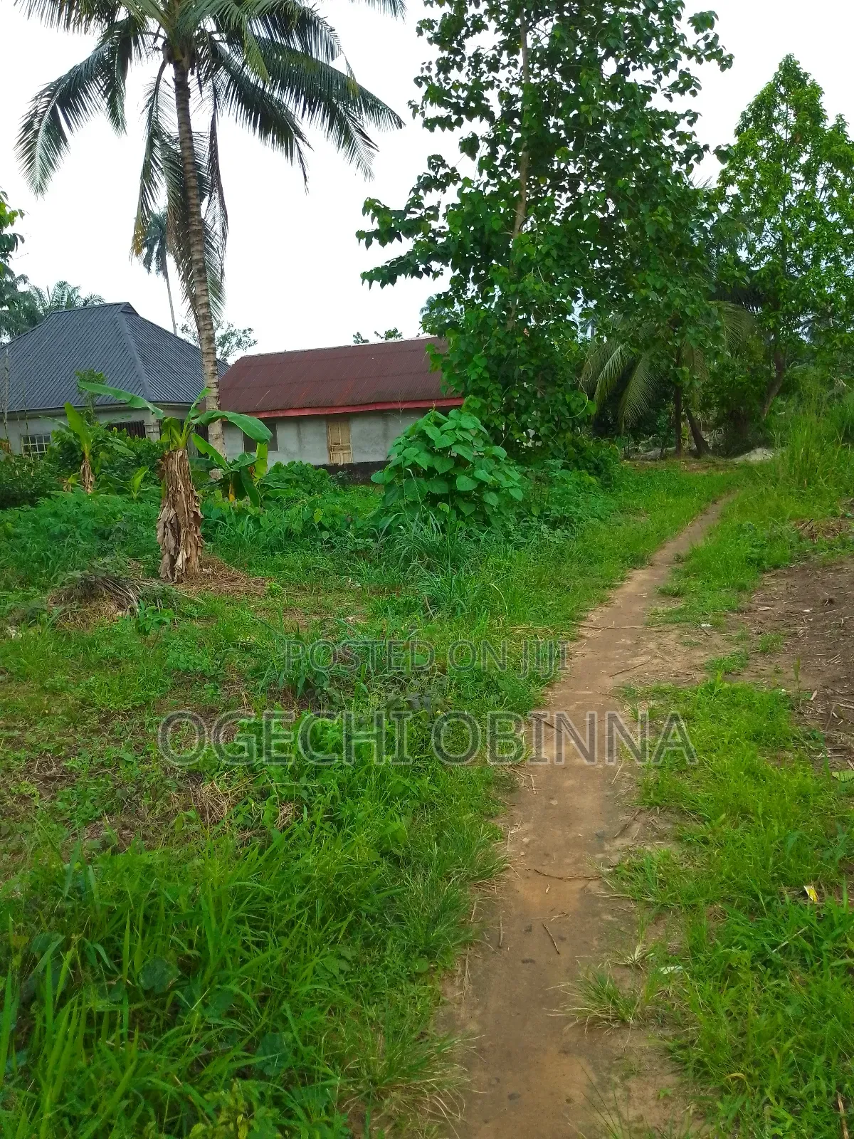 Buy and Pack in Land at Ulakwo Etche in Port-Harcourt