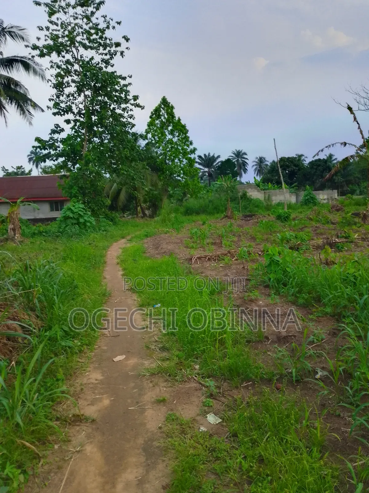 Buy and Pack in Land at Ulakwo Etche in Port-Harcourt