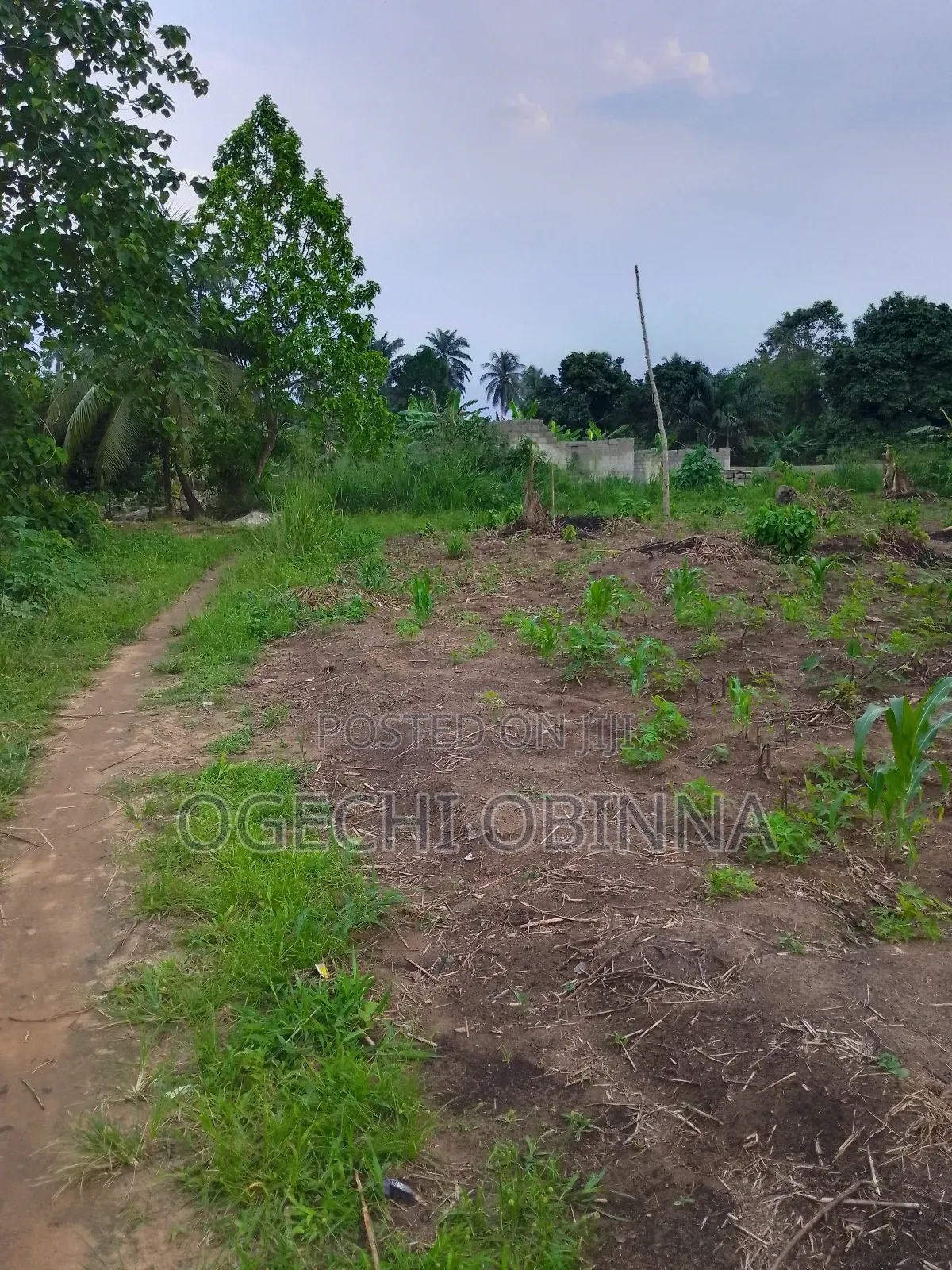Buy and Pack in Land at Ulakwo Etche in Port-Harcourt