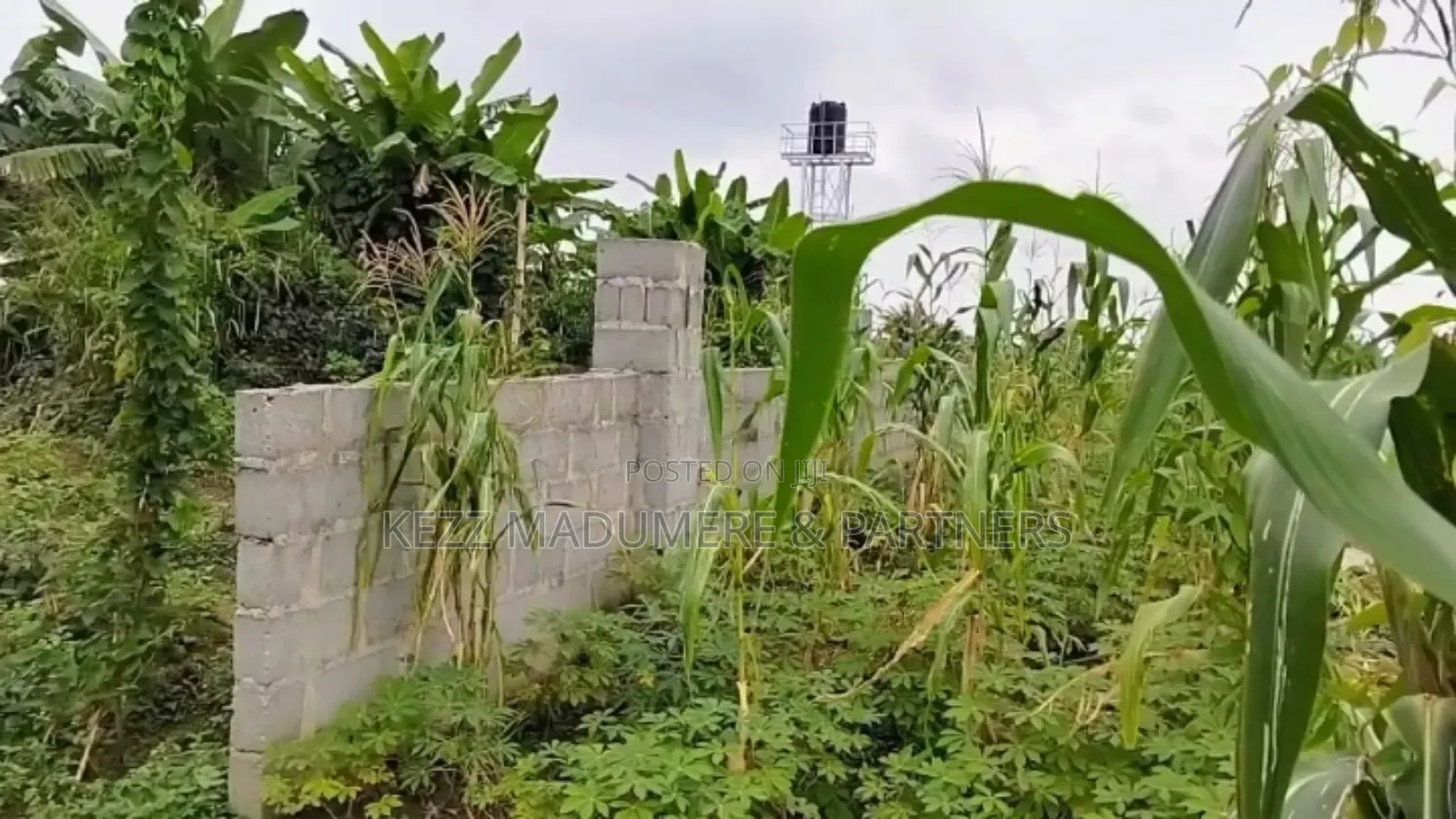 For Sale: Fenced 3 Plots at Gra Phase 8, Ph in Port-Harcourt